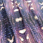 Great Material Digital Print Fabric Textile Printing, Digital Printing Jersey Fabric, Digital Printed Shirting Fabric