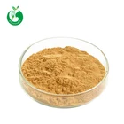 GMP Factory Supply Ginkgo Biloba Leaf Extract