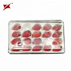 pet food grade blister disposable plastic fruit packing trays for strawberries with lid