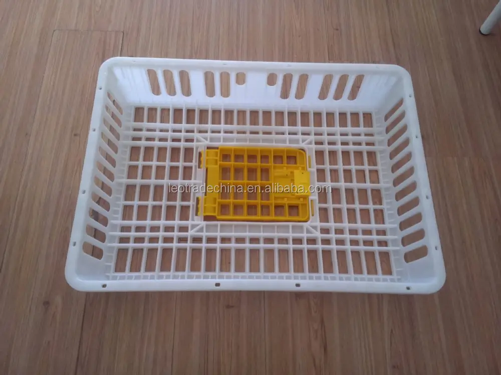 live chicken transport box/plastic broiler transport crate