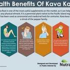 100% 天然 30% 70% kavalactones 粉末/純粋なカバカバエキス無料サンプル 10:1