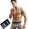 /product-detail/mens-underwear-bamboo-mens-briefs-skinny-briefs-young-india-eco-friendly-underwear-62128202826.html