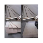 Factory Direct Sales plywood birch