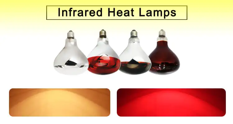 infrared heat lamp 1