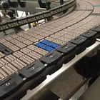 Hairise Chain Belt Conveyor with Adjustable Speed