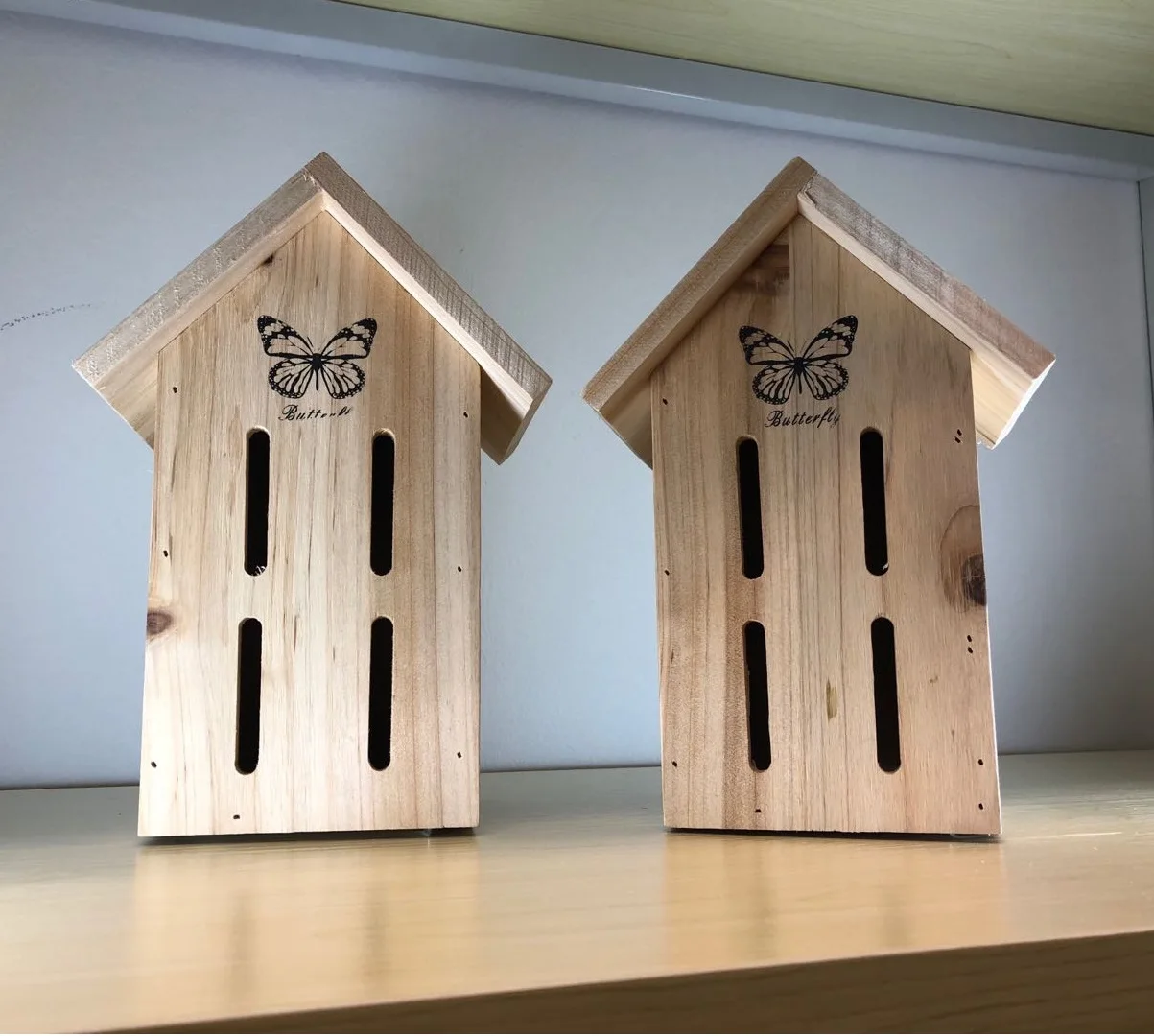 NEST-0022B.jpg