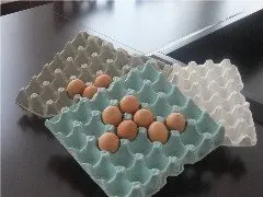 Fully automatic Egg Tray Production Line