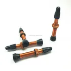 Mountain Bike & Road Bike Bicycle Tyre Tube Valve Presta 50mm
