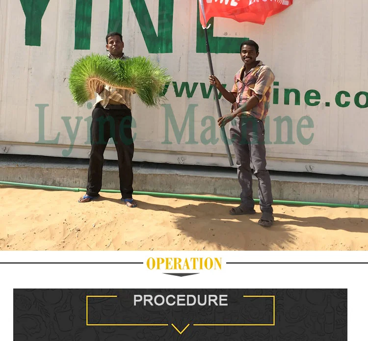 Seedling machine (6).jpg