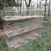 /product-detail/commercial-rabbit-breeding-cages-60770746088.html