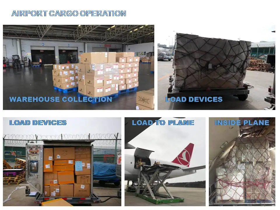 Freight Forwarding Agent Sea Transport Door To Door Express Tracking Shipping China To Canada