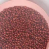 New batch Sorghum Sudan Grass Seeds Exporter