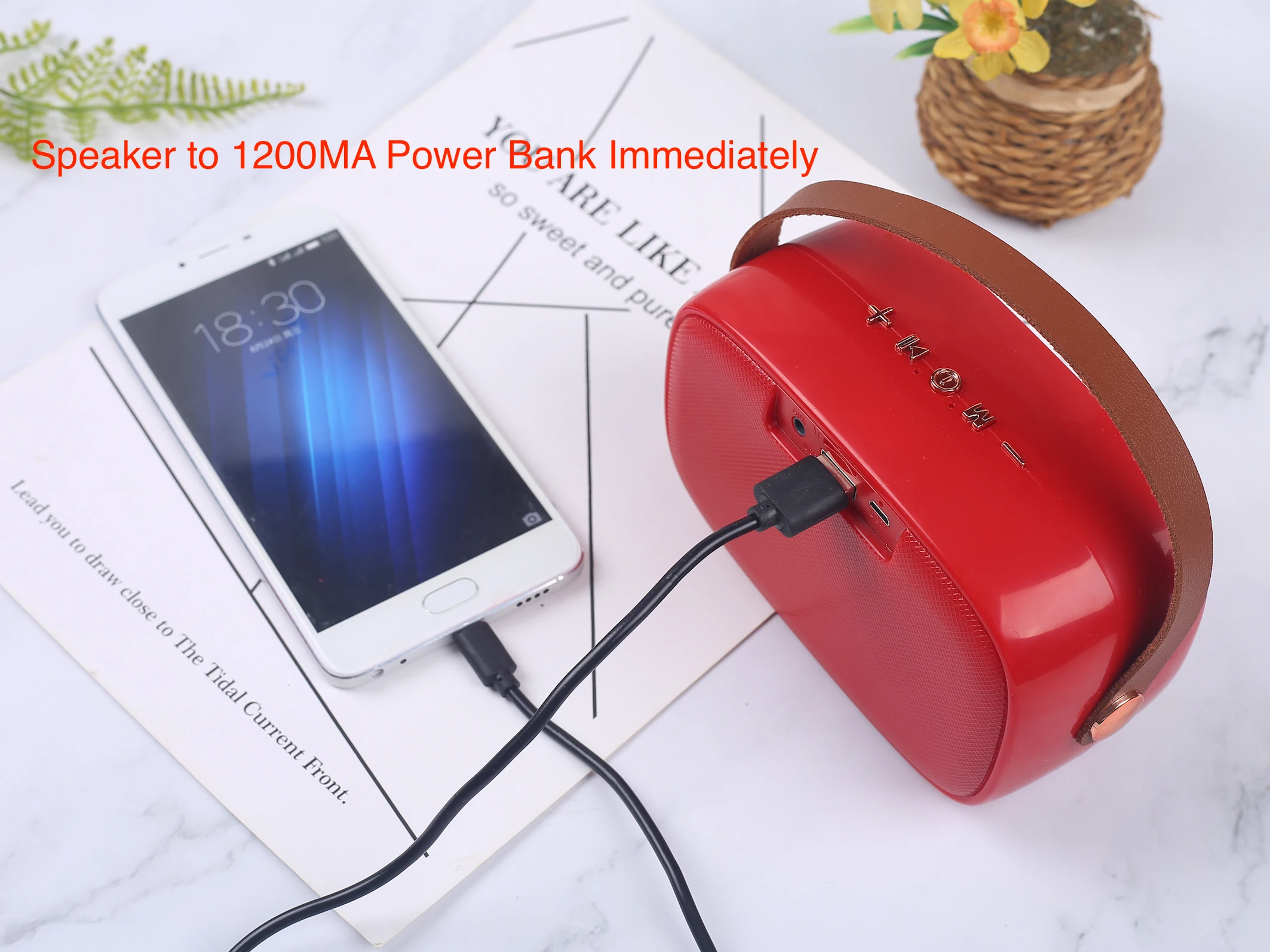 FM Radio Style Active Wireless Charge Mini Speakers for Mobile Phone Home Theatre with 1200MA Bluetooths Speaker Power Bank - ANKUX.COM