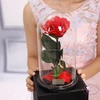 Wholesales Russia alibaba stabilized flowers in glass decorative preserved eternal roses