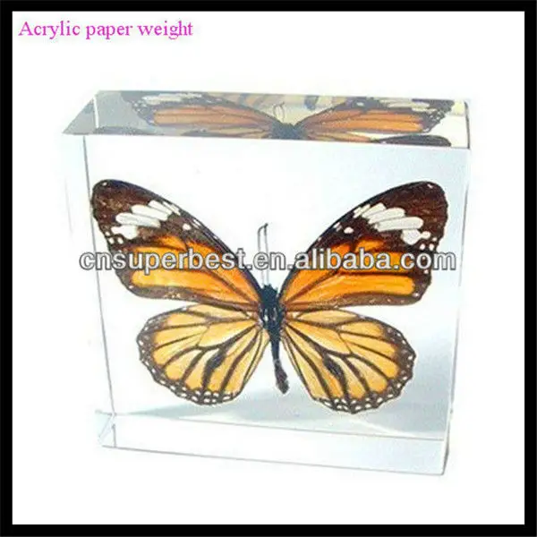 custom clear acrylic paperweight with butterfly image