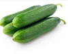 /product-detail/cucumber-vegetable-seeds-organic-vitamin-herbs-cucumber-for-salad-60843411078.html