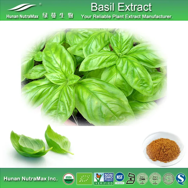 basil leaves powder