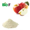 Manufacture supply Organic Apple Juice Powder/dried apple powder, apple juice powder