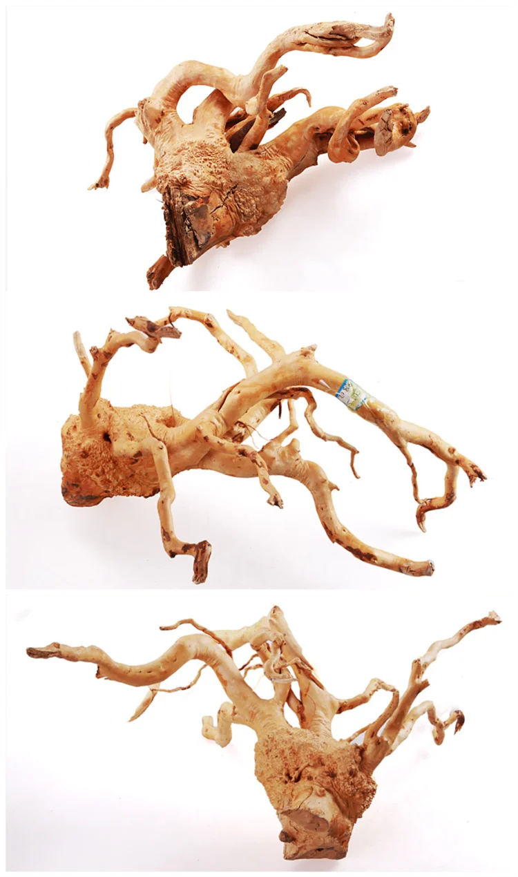 driftwood (2).png