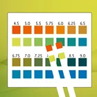 Saliva Ph Test Ph Test Strips 4.5 - Ph