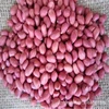 High quality red skin peanut kernel for sale