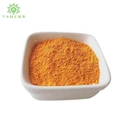 HOT selling Nano Curcumin Organic Turmeric Root Extract Powder 95 % ~99% Curcumin