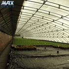 Flower greenhouse covering for agricultural