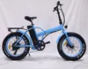 Cheap price 36V lithium battery foldable electric bicycle 250w en15194