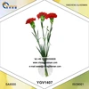 Glass Plant Vase For Flower Arrangement YGV1407