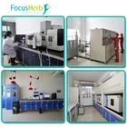 FocusHerbNatural Tannins 30% Amla Fruit Extract