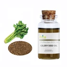 Pure Celery Seed Essential Oil for Bulk Purchase