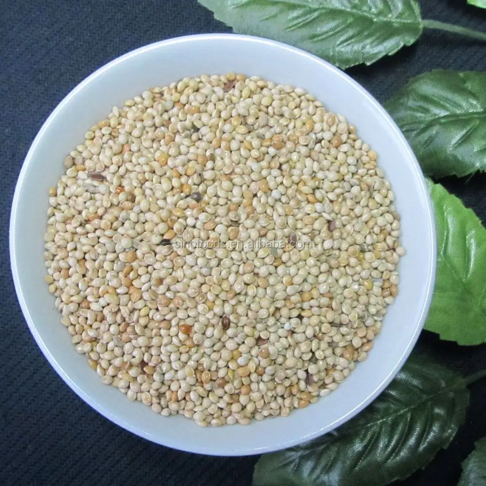 white millets bulk bird seed buy bulk bird seed bulk white millets bulk bird seed buy bulk bird seed bulk