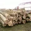 Wholesale solid wood Oak/Birch/Elm lumber Supply
