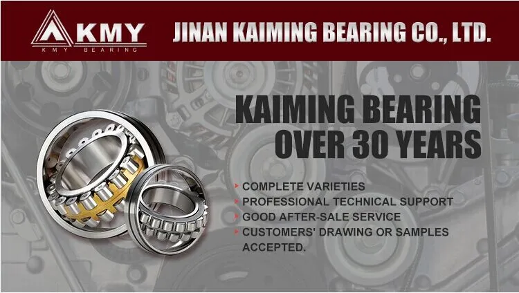 Bearing 1