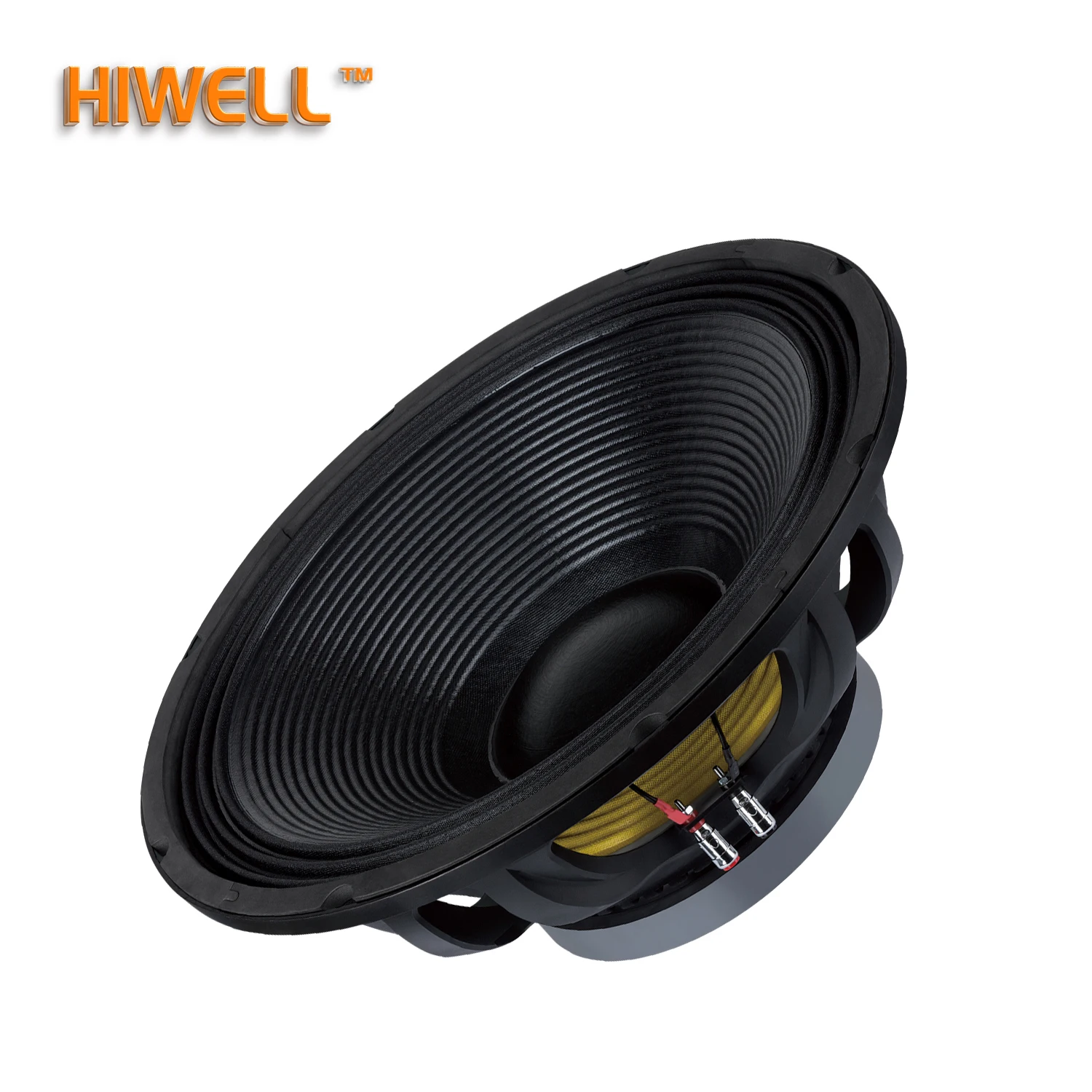 18 Inch 1000-Watt Woofer - ANKUX.COM