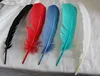 Turkey quill feather/feather wholesale/feather