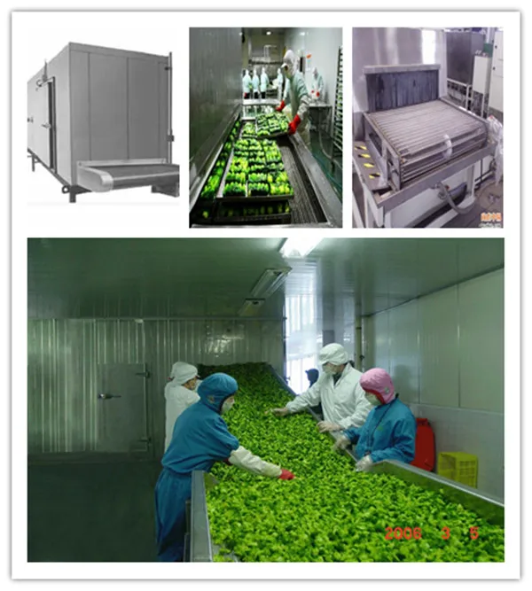 Cryogenic Iqf Shrimp Freezervegetable, 1000kg, 50 - detail 4