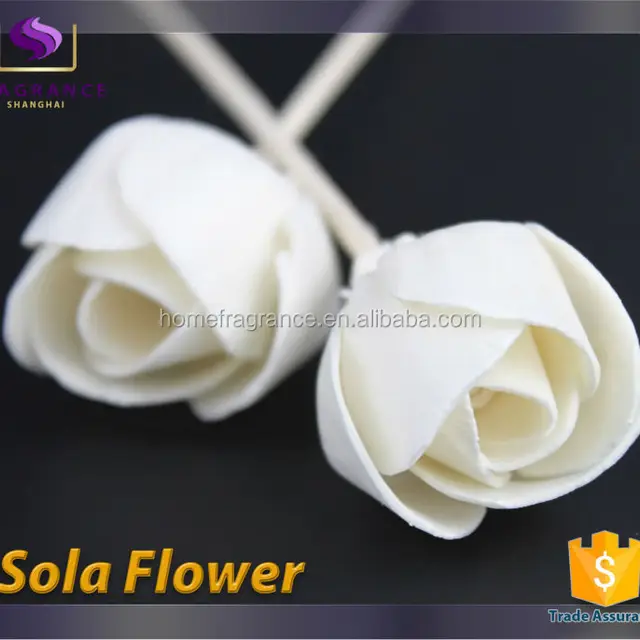 handmade trade assurance dried sola flower with stick