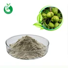 Water Soluble Natural Noni Fruit Powder
