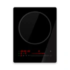 100% Original 10 Functions 220V~240V 1 Burner Cooktop Induction Hob For 12 Foot Laminate Countertop Accept Custom Order