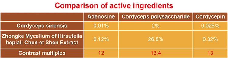 yarsagumba capsules Plant Extract Function Nourish lung and liver system,immunity improvement
