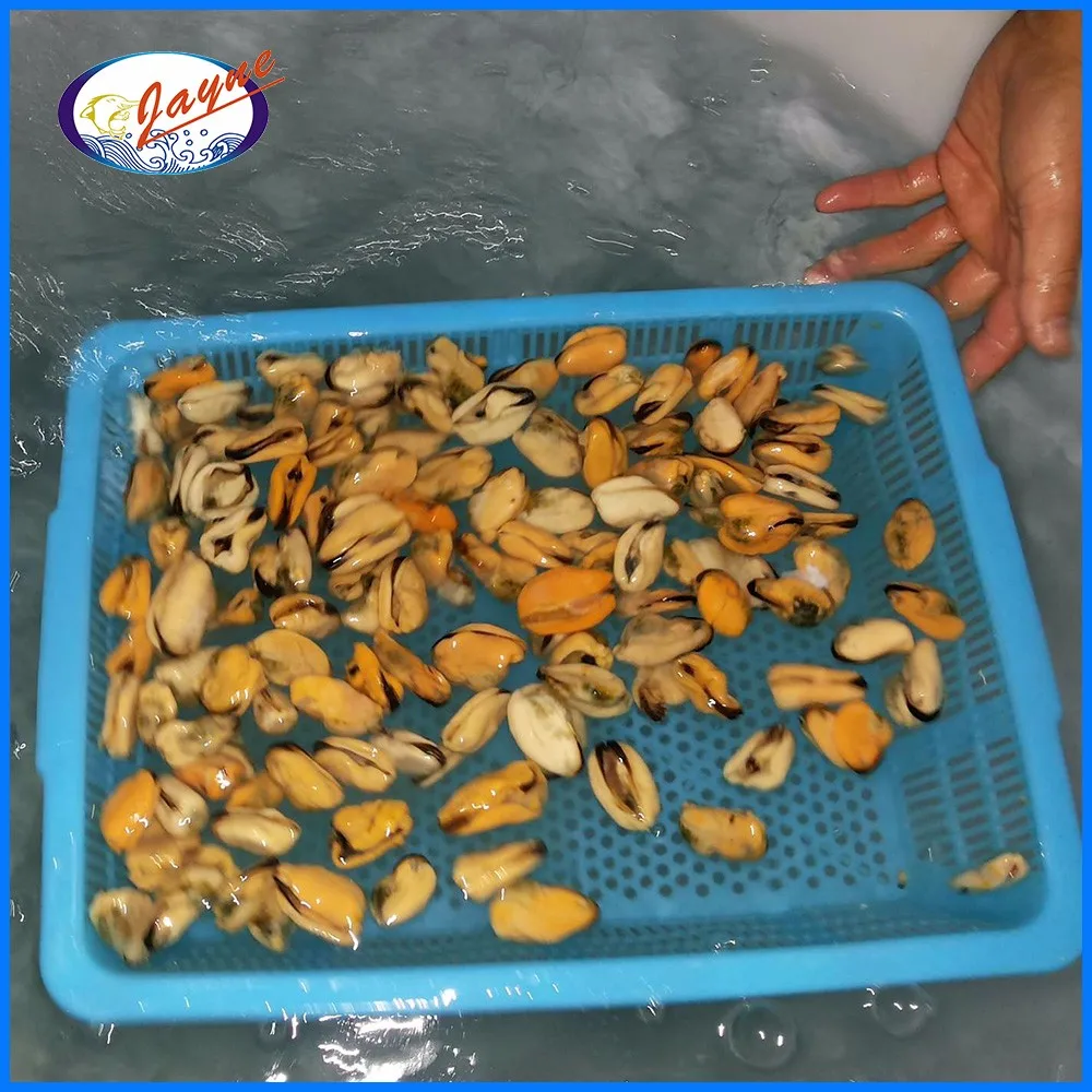 Top Quality Frozen Green Mussel Meat With 10kg/ctn Bulk Package Buy