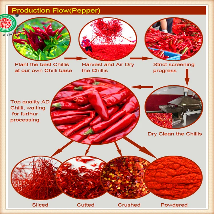 we can supply red chilli pepper / paprika in all kinds of shapes