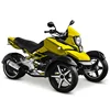 Chinese Automatic Three wheel Adult Electric Trike Motorcycle