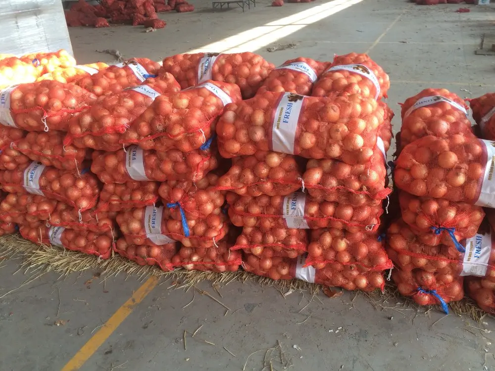 High Quality & Best Price Chinese Fresh Onion 5-7cm Size