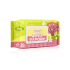 Haijie 2019 New Arrival Travel Pack Antibacterial Baby Hygiene Wipes