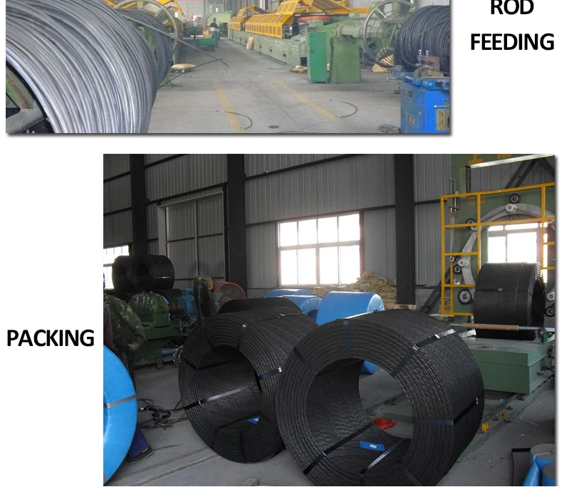 sae1008 5.5mm carbon steel teel wire rod coil