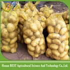 mondial potato price/new potato with mashed package fresh potato