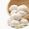fresh garlic price in china 2018 new crop