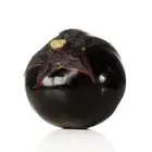 good quality purple eggplant seeds vegetable seeds